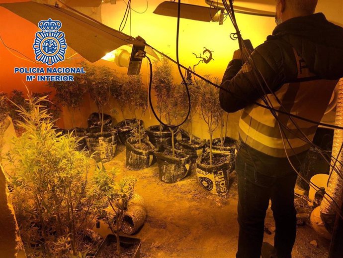 Plantación 'indoor' desmantelada por la Policía.