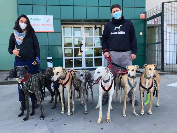Miembros de Galgos del Sur con los ocho perros rescatados.