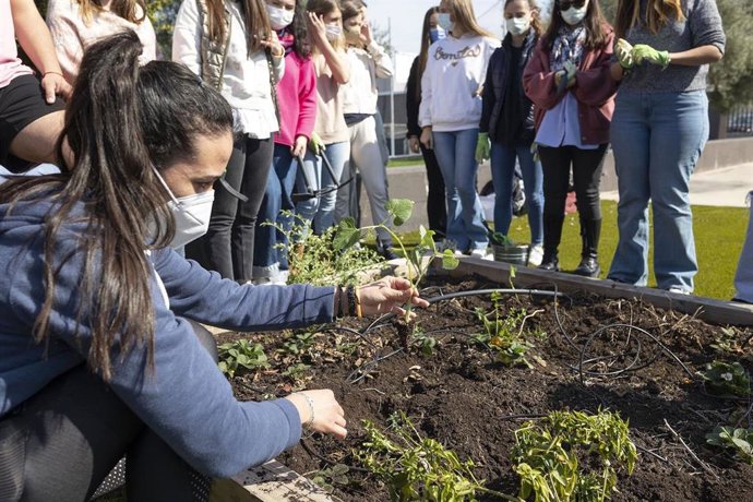 La semana de la sostenibilidad World Watchers ha combinado sesiones con expertos en el Paraninfo de la CEU UCH y talleres prácticos sobre medio ambiente.