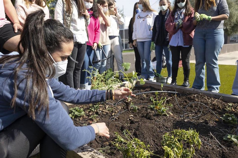 La semana de la sostenibilidad World Watchers ha combinado sesiones con expertos en el Paraninfo de la CEU UCH y talleres prácticos sobre medio ambiente.