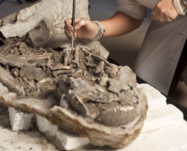 Restos de hace 8.000 años que arrojan indicios de momificación natural guiada