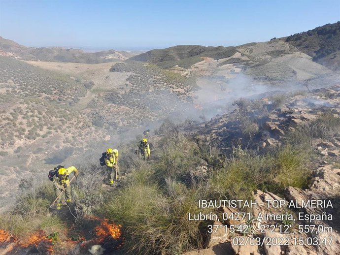 Bomberos forestales en labores de extinción del fuego declarado en Lubrín (Almería)