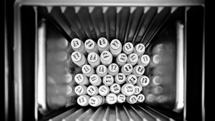 Banco de leche materna