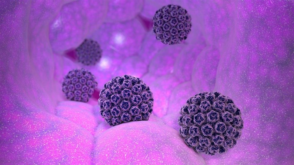 La vacunación, clave frente a la infección del VPH y posibles lesiones asociadas de cáncer de cérvix