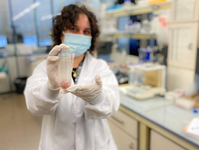 Un equipo de investigación liderado por el Instituto de Ciencia Molecular (ICMol) de la Universitat de Valncia ha desarrollado un polímero inteligente basado en el uso de esencias naturales encapsuladas en estructuras tipo MOF