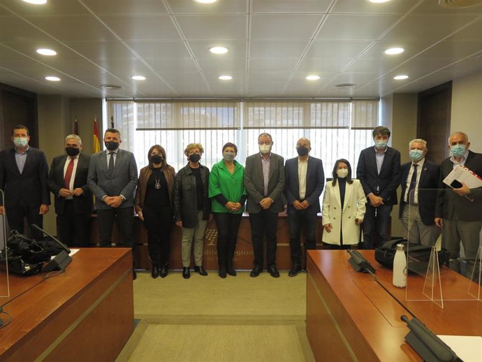 Miembros de la Comisión especial de Discapacidad, en la que ha intervenido uan Valero Olivares, presidente de la Federación Empresarial Española de Asociaciones de Centros Especiales de Empleo de Iniciativa Social