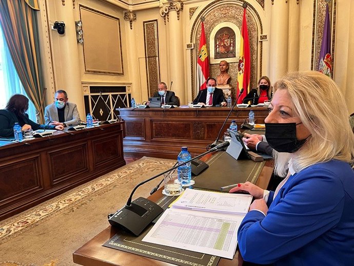 Pleno de la Diputación de Soria.