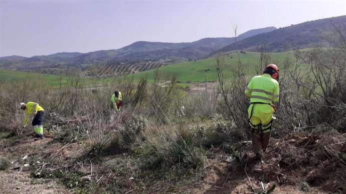 Profesionales de Diputación adscritos a las Brigadas de conservación de la red provincial.