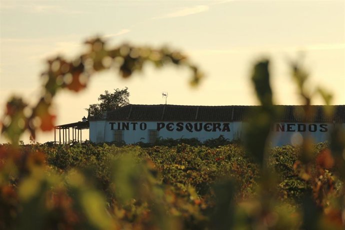 Bodega Tinto Pesquera