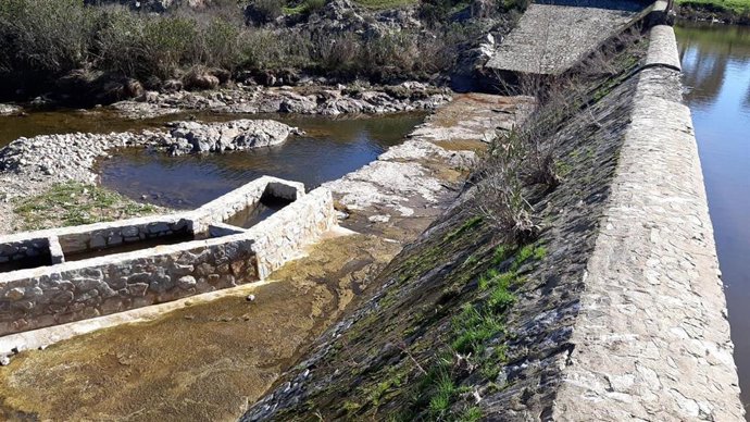 Recuperación de la permeabilidad del Guadiamar para la fauna piscícola autóctona.