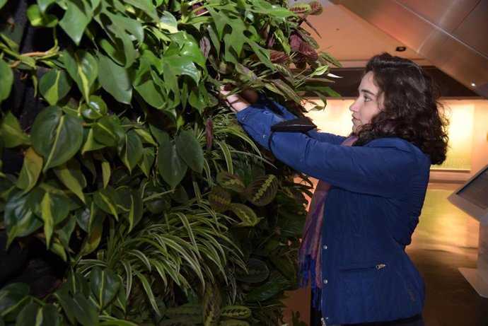 Jardín vertical en un centro comercial de Cartagena