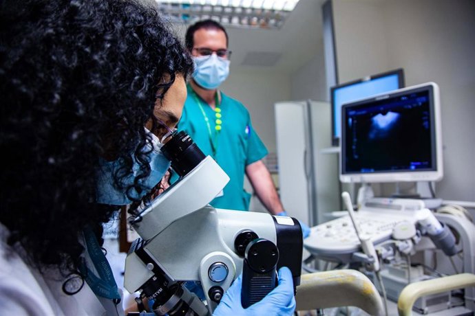 Archivo - El Servicio De Ginecología Del Hospital Clínico San Cecilio Atiende A 5.000 Pacientes Al Año Portadoras Del Virus Del Papiloma Humano. (Foto de archivo)
