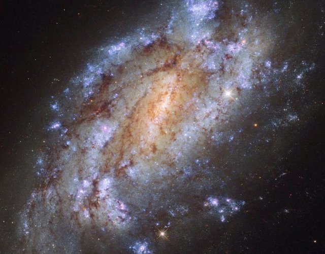 La galaxia espiral NGC 1559, un ejemplo de galaxia local con formación estelar.