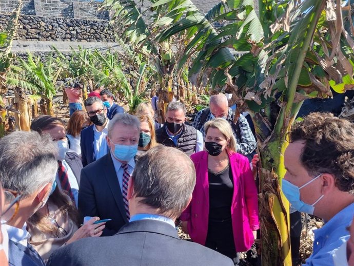 El comisario de Agricultura, Janusz Wojciechowski, y la consejera de Agricultura del Gobierno de Canarias, Alicia Vanoostende, en una visita a una finca de plátanos en La Palma