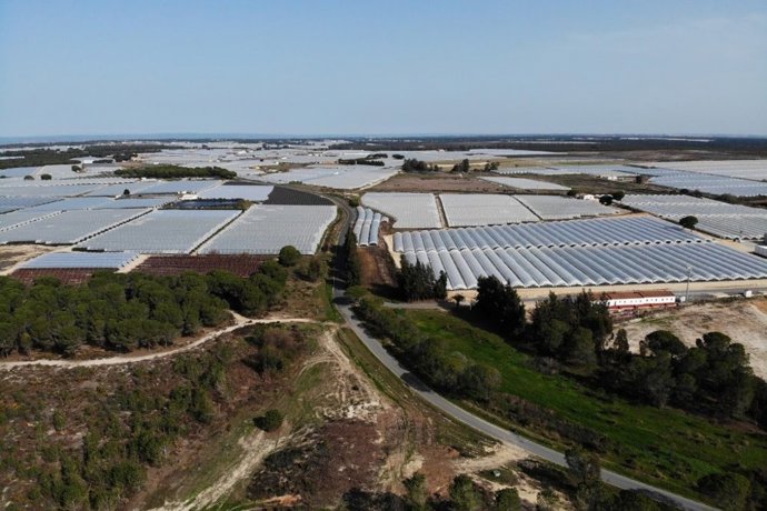 Vista área de una finca de regadios en Doñana. (Foto de archivo).