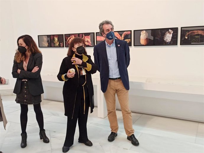 El Palacete del Embarcadero acoge 'Piel y pulpa', una "provocadora" exposición de Marisa González