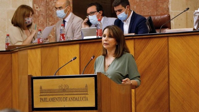 La diputada por Cádiz y portavoz adjunta de Vox en el Parlamento de Andalucía Ángela Mulas.