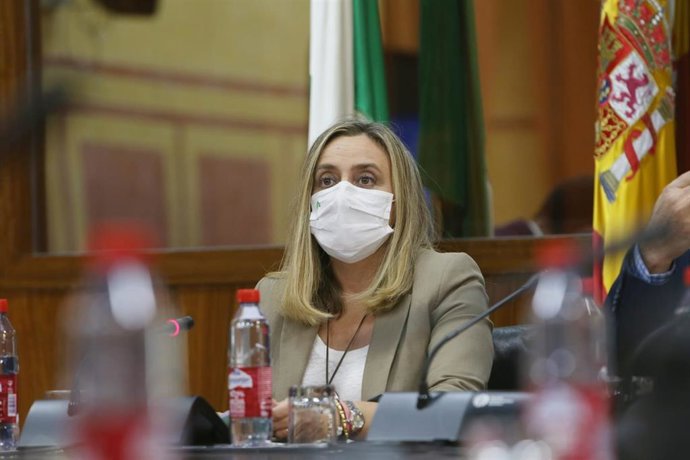 Archivo - Marifrán Carazo, en comisión parlamentaria, en foto de archivo.