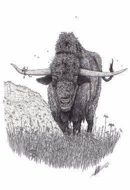 Lámina de un bisonte del Pleistoceno