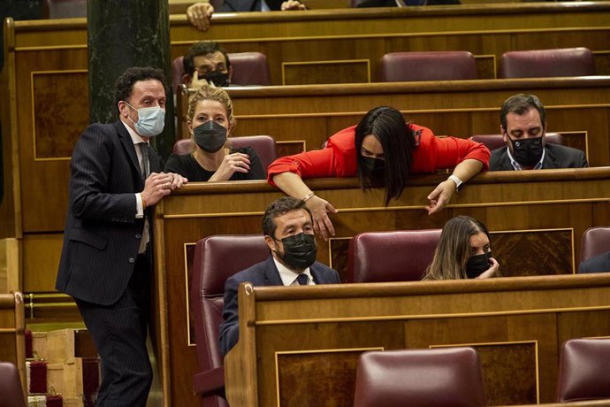 El vicesecretario general y portavoz de Ciudadanos, Edmundo Bal (1i) y la diputada de Cs María Muñoz (2i), en una sesión plenaria en el Congreso