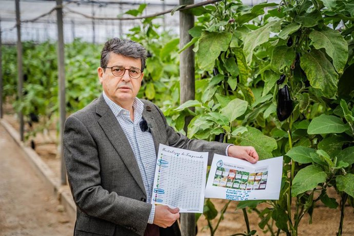 El diputado nacional del Partido Popular de Almería, Juan José Matarí.