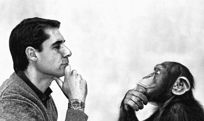 El director general de Parnaso, José Arribas, destaca que con los 204 premios internacionales alcanzados han demostrado que en creatividad y estrategia existe "vida inteligente" fuera de las grandes capitales de esta industria, Madrid y Barcelona.