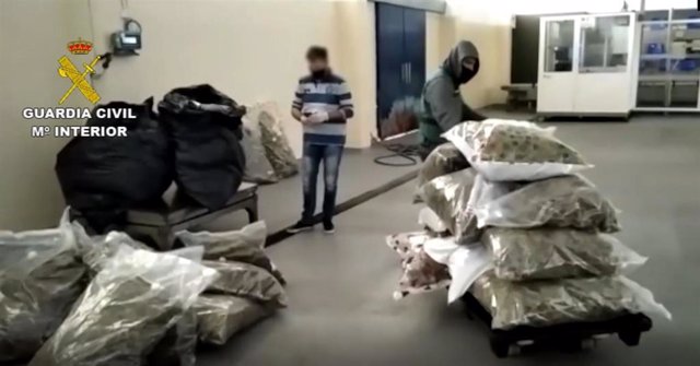 Un detenido y tres investigados de una red criminal que utilizaba trasteros como guarderías de droga en Mijas (Málaga)