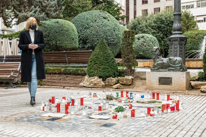 La líder regional de la formación naranja, Carmen Picazo