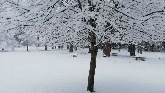 Aemet extiende el aviso amarillo por nevadas en la Sierra hasta las 16 horas
