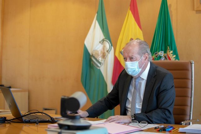 El presidente Fernando Rodríguez Villalobos ha presidido la reunión, celebrada de manera telemática.