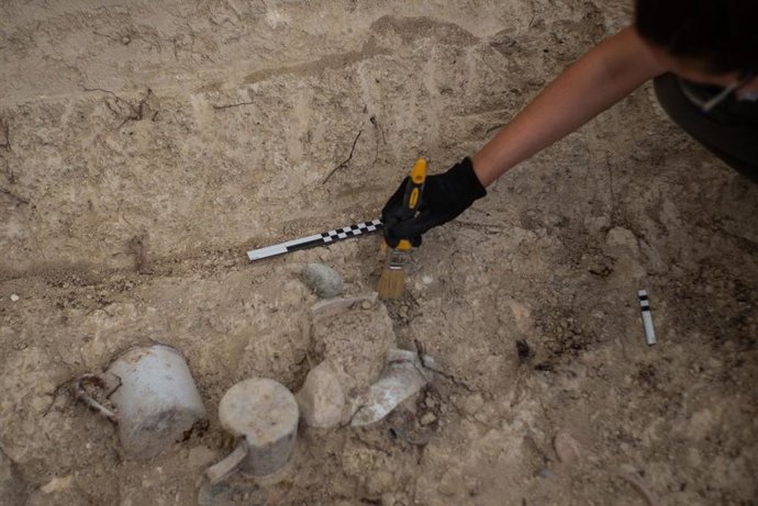Trabajos de exhumación en el cementerio de Trebujena.