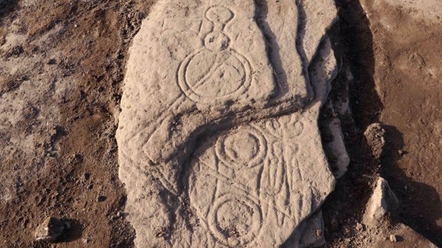 Piedra picta tallada con un símbolo descubierta en un campo en Aberlemno