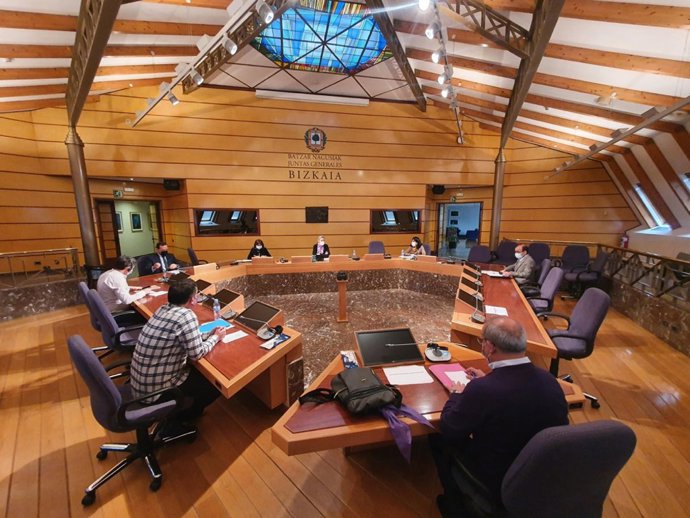 Comisión de Juntas Generales para debatir el Plan de Transporte