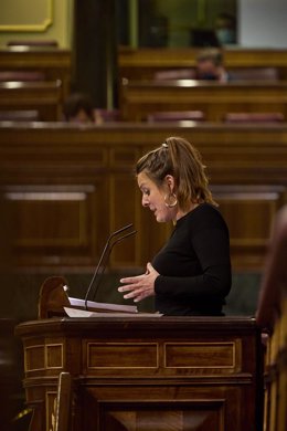 La portavoz de la CUP en el Congreso, Mireia Vehí, interviene en una sesión plenaria en el Congreso