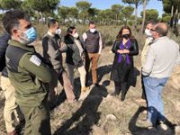 La Junta invierte 13,5 millones en restaurar zonas afectadas por grandes incendios en la provincia de Huelva