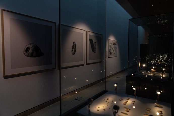 Obras del Museo de Altamira