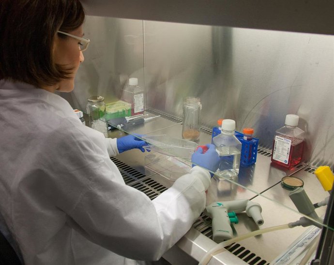 Archivo - Investigación, sanidad, ensayo clínico, laboratorio,  foto de recurso