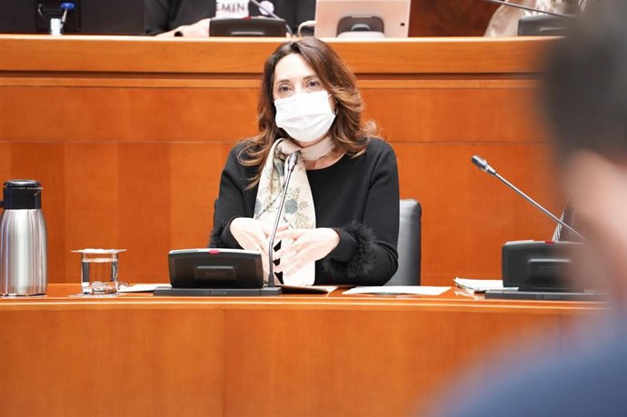 La directora general de Trabajo, Soledad de la Puente.