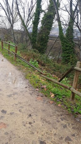 Solicitan colaboración ciudadana ante nuevos actos vandálicos en las proximidades del parque de La Ribera de Logroño