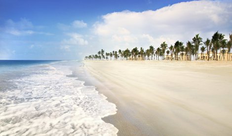 Comunicados Internacional