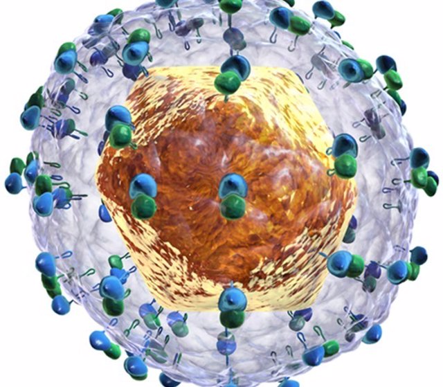 Archivo - Recreación del virus de la hepatitis C