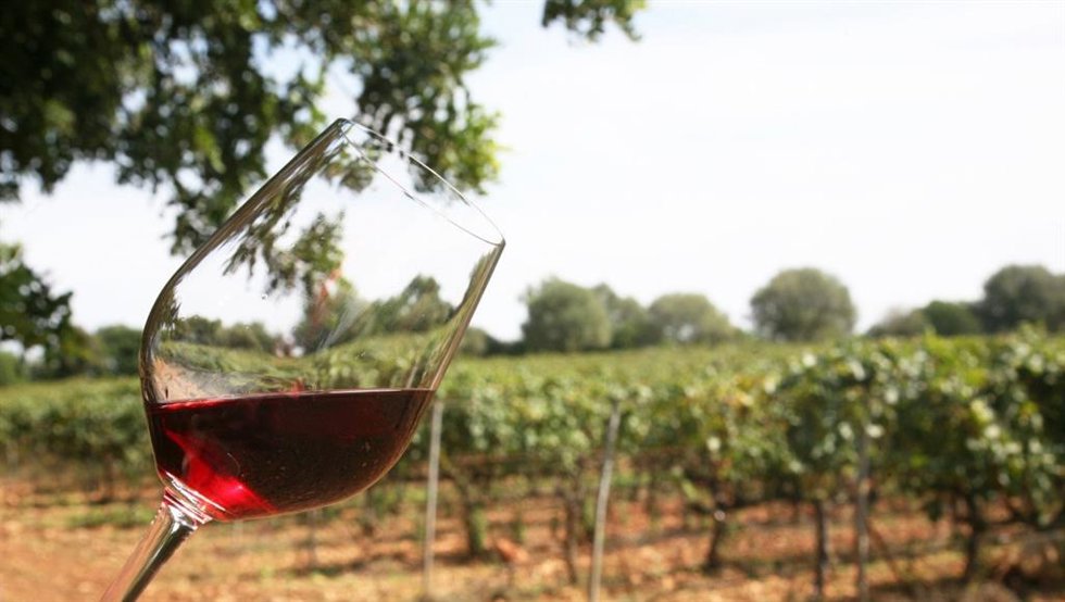 Copa de un vino de Baleares.