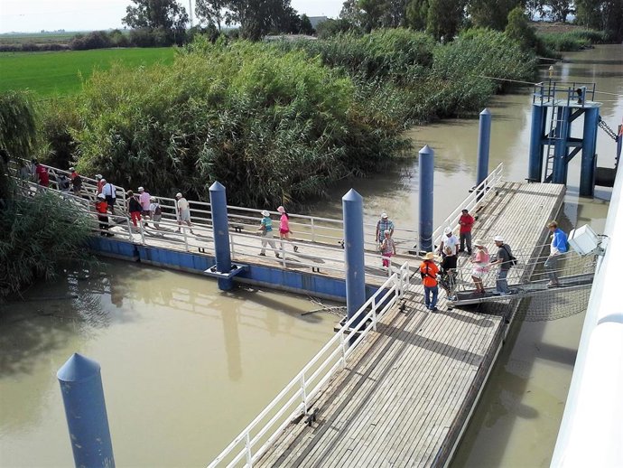 Vuelven los turistas al pantalán de Isla Mínima