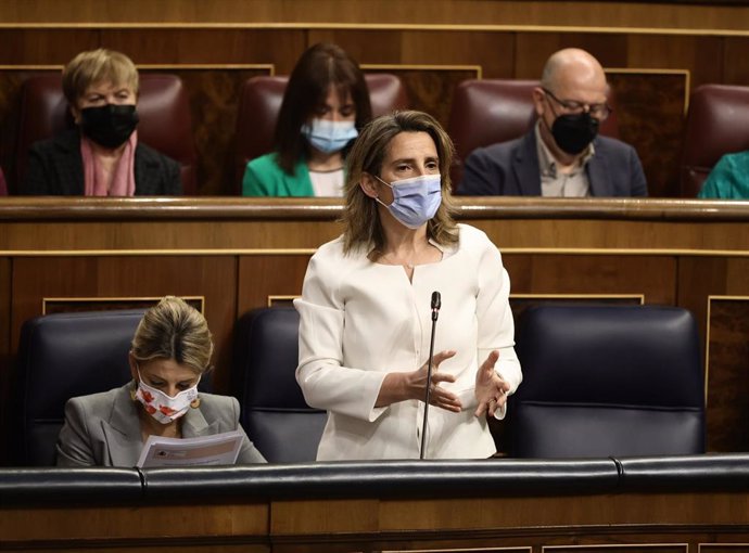 La vicepresidenta y ministra para la Transición Ecológica y el Reto Demográfico, Teresa Ribera, interviene en una sesión plenaria, en el Congreso