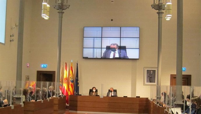 Un momento del pleno de la DPZ.