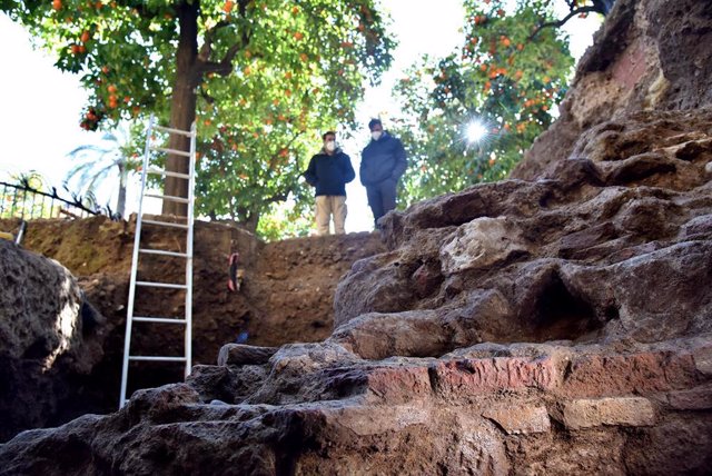 Archivo - Los arqueólogos al pie de la excavación en el Patio de los Naranjos.