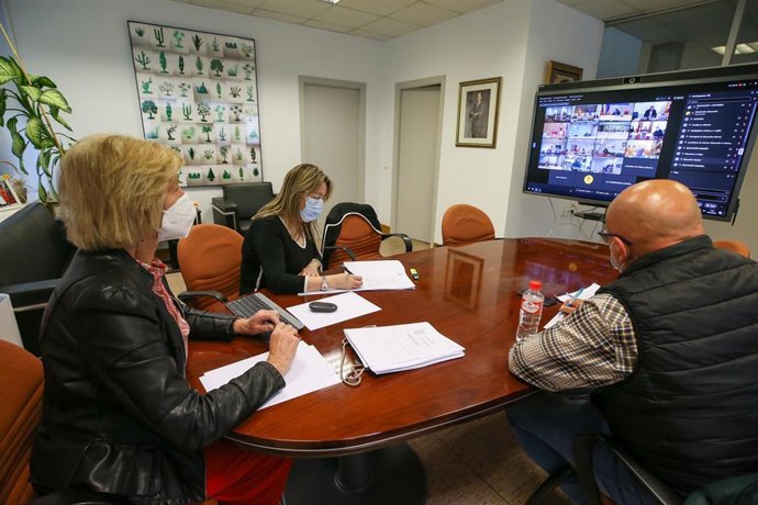 La consejera de Educación, Marina Lombó, participa en la reunión telemática de la Conferencia Sectorial de Educación.