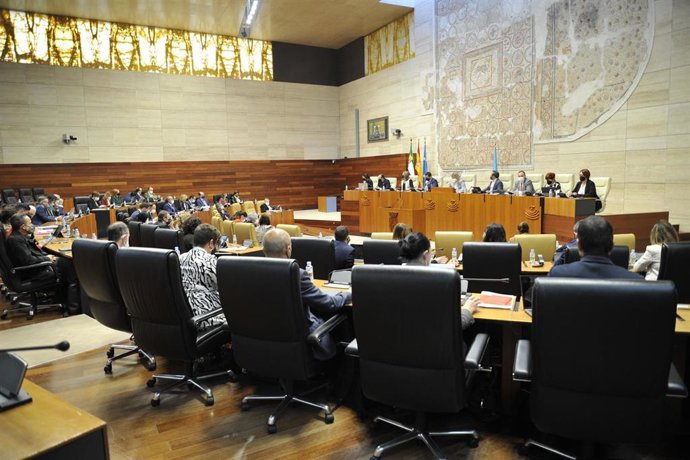 Pleno de la Asamblea de Extremadura.