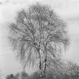 La obra El universo es tuyo... Y de quien sepa reonocerse en ti