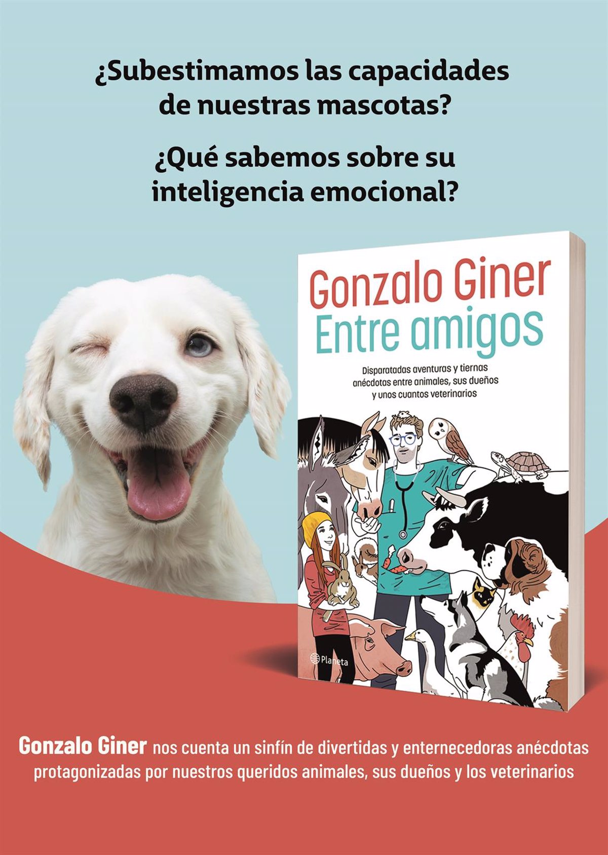 Gonzalo Giner publishes ‘Among friends’, a collective anecdote on what it means to be a veterinarian